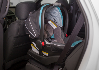 Spruce & Sapling Supply