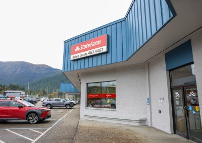 Robin Lonas State Farm